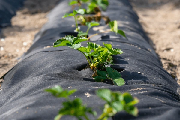 AgriGrowTech